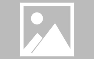 垦利龙江乐从网站建设（乐从和龙江）